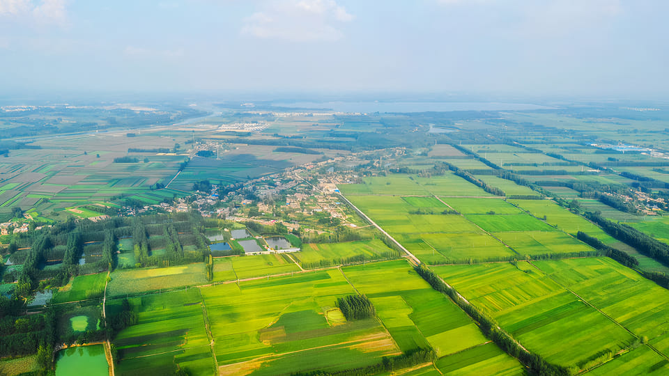 Aerial view of green agricultural fields and rural landscape under a clear sky.