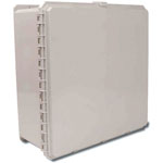Point-to-Multipoint